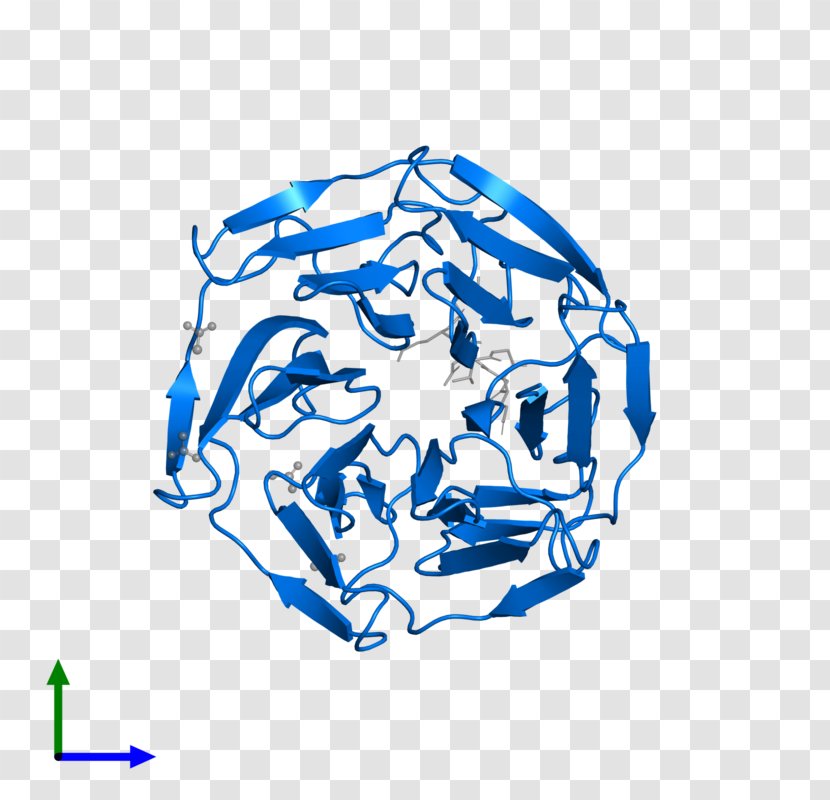 Logo Headgear Font - Blue - Design Transparent PNG