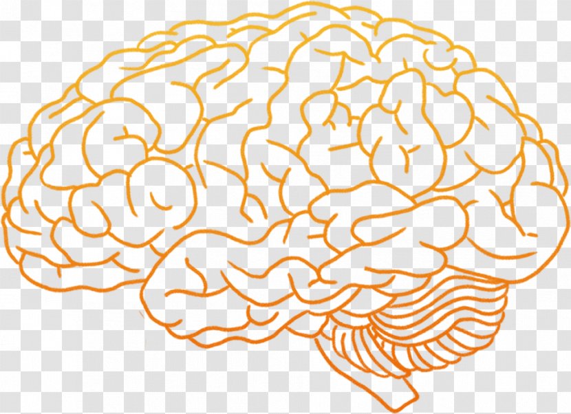 Human Brain Clip Art - Watercolor - Gear Transparent PNG