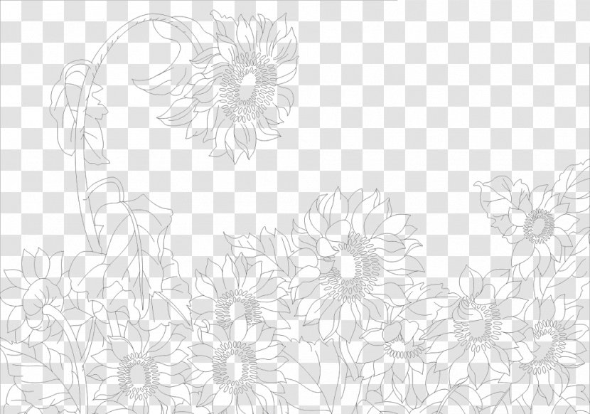 Black And White Pattern - Monochrome - Sunflower Photos Transparent PNG