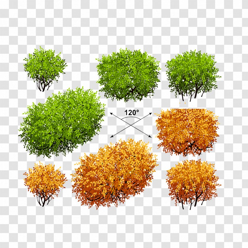 Shrub Euclidean Vector Tree Plant - Grass - Bush Design Transparent PNG