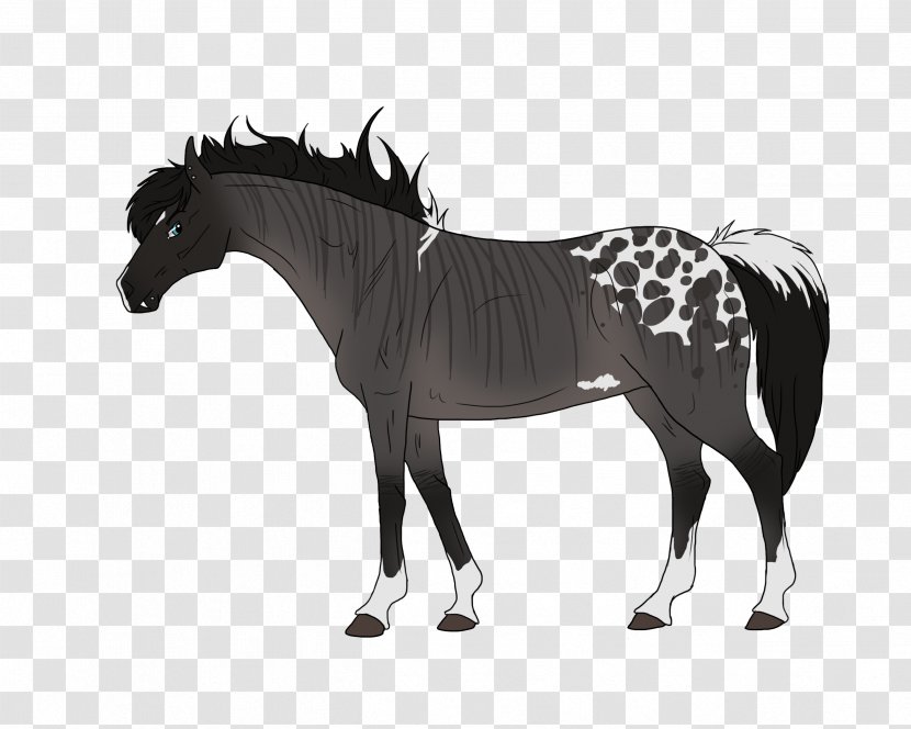 Horse Blanket Equestrian Tack Måsta - Rein Transparent PNG