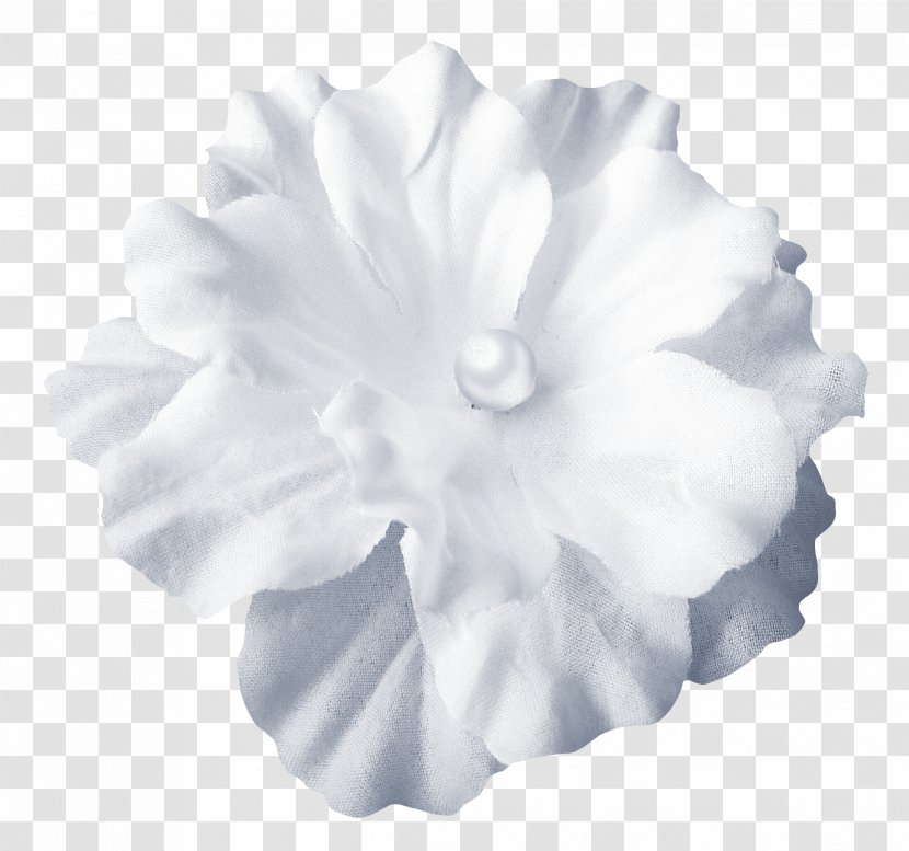 Cut Flowers Image Design - Black And White - Flower Tools Transparent PNG