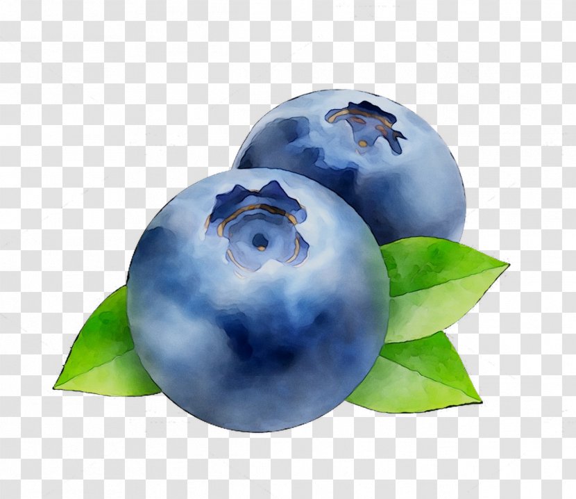 Bilberry Blueberry Sphere - Ball Transparent PNG
