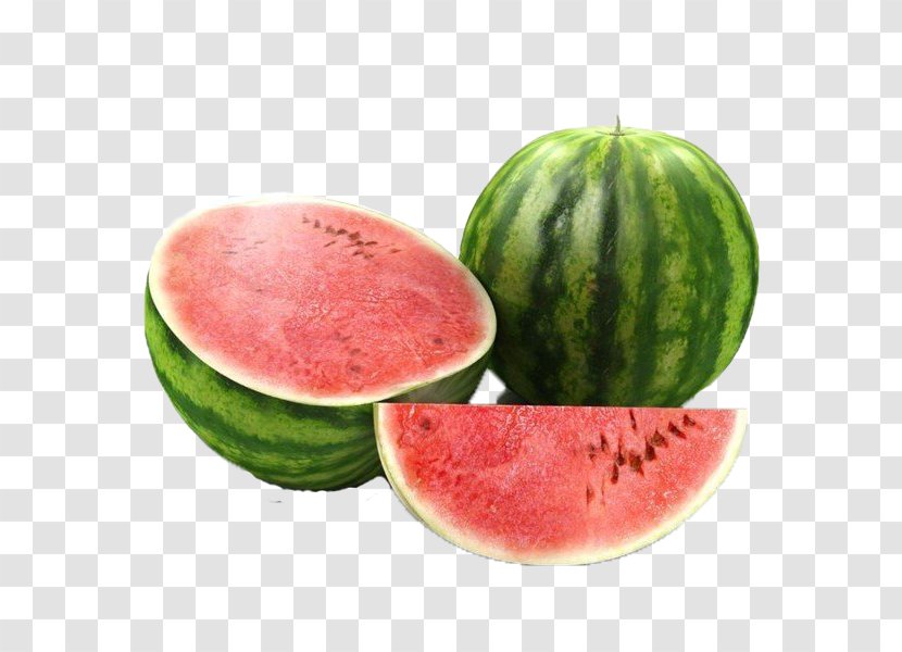 Watermelon Fruit Food - Gourd Order Transparent PNG