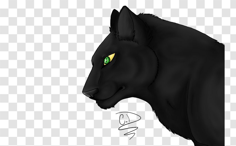 Black Cat Cougar Mammal Whiskers - Puma - Panther Transparent PNG