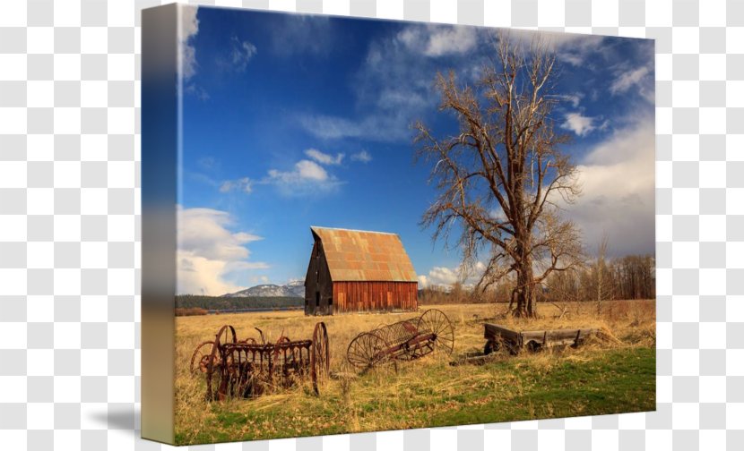 Ranch Barn Stock Photography Ecosystem - Home Transparent PNG