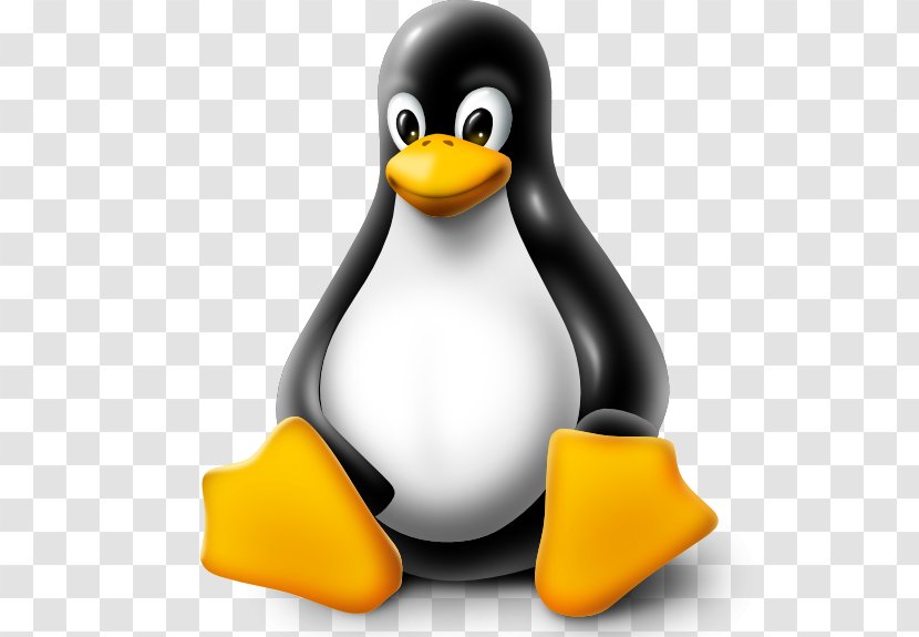 Tux Arch Linux Distribution Ubuntu - Vertebrate Transparent PNG