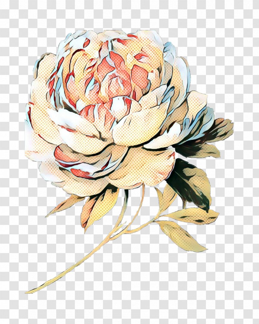 Watercolor Floral Background - Rose Family - Protea Peony Transparent PNG