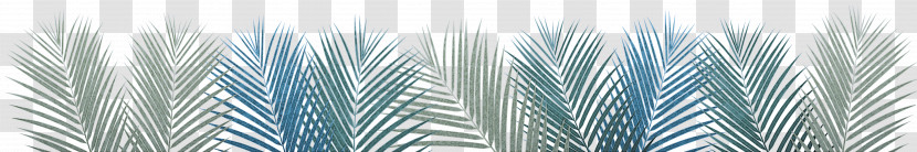 Line Meter Close-up Tree Pattern Transparent PNG
