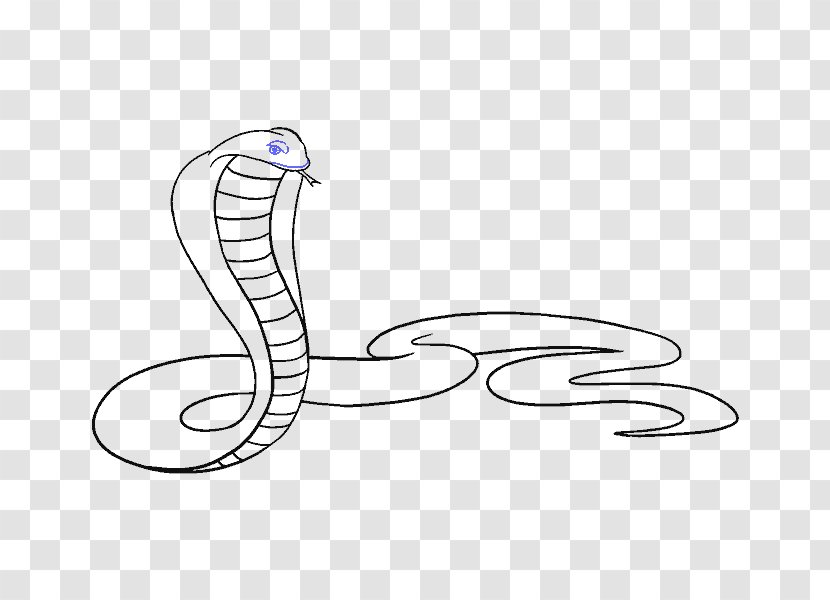 King Cobra Snake Drawing Clip Art - Frame Transparent PNG