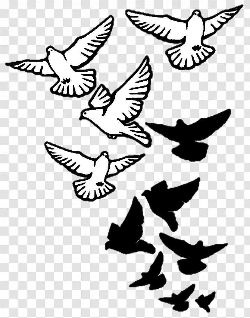 Columbidae Bird Tattoo Drawing Domestic Pigeon - Wildlife Transparent PNG