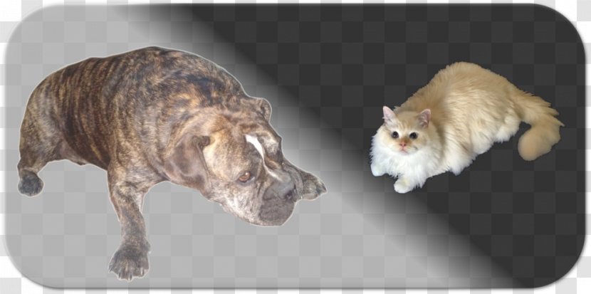 Whiskers Dog Breed Cat Non-sporting Group - Keep Pets Transparent PNG