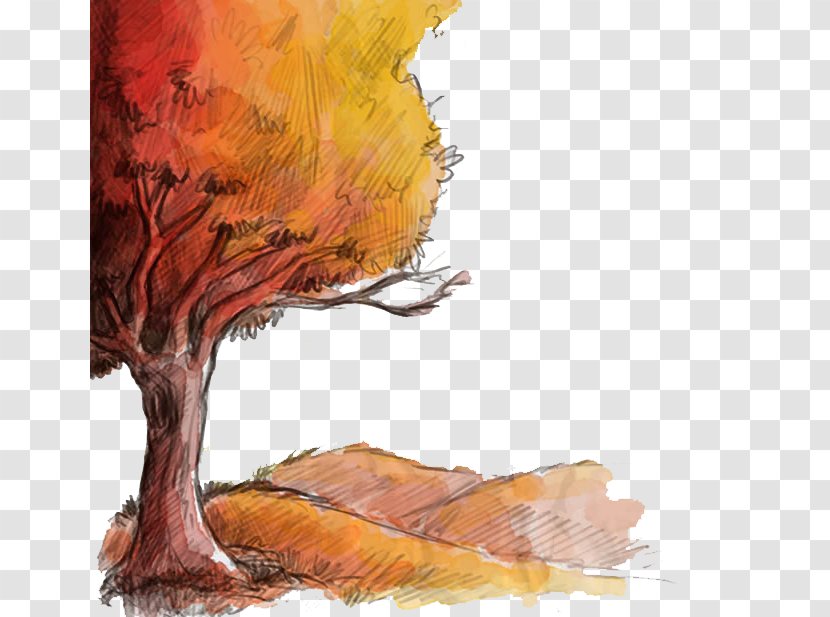 Autumn Drawing Euclidean Vector - Watercolor Painting - Fall Tree Transparent PNG