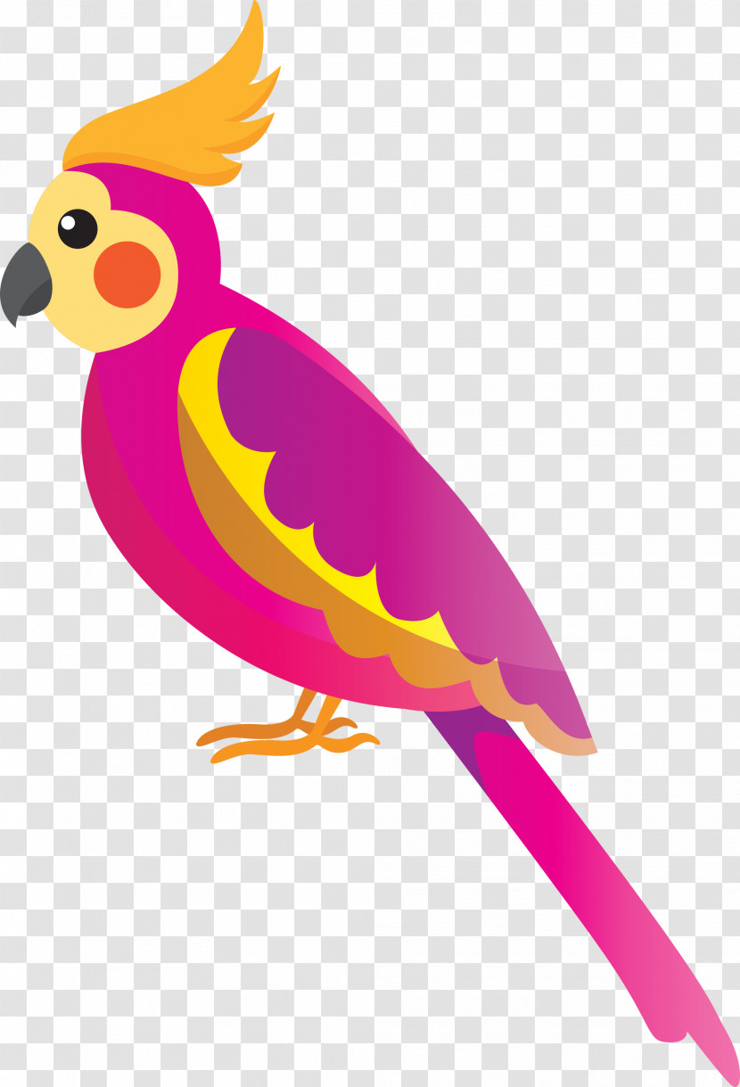 Chicken Parrots Beak Chicken Transparent PNG