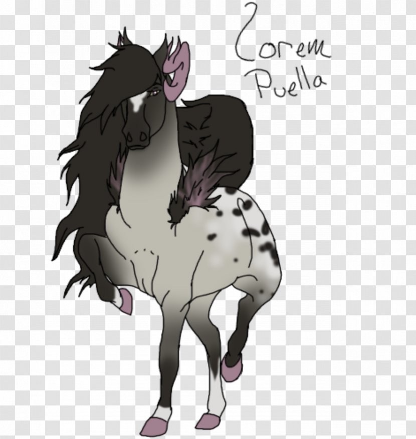 Stallion Mustang Halter Colt Pack Animal - Livestock Transparent PNG