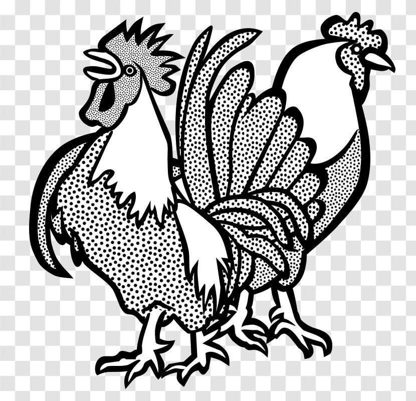 Chicken Rooster Line Art Clip - Hen - Cock Transparent PNG