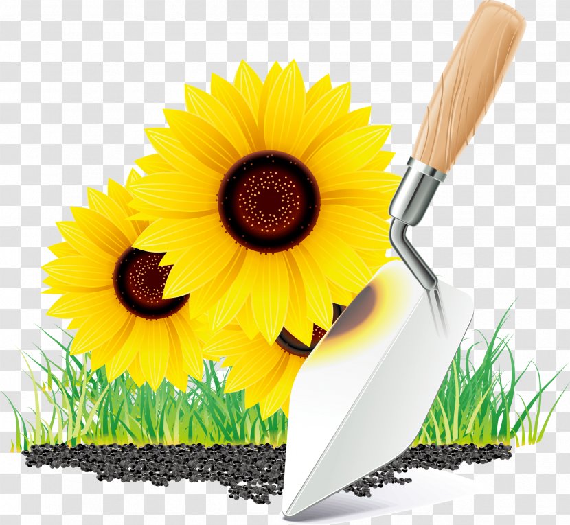 Garden Tool Gardening Icon - Sunflower Seed - Shovel Elements Transparent PNG