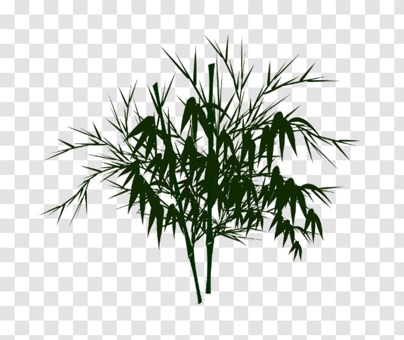 Bamboo Watercolor Painting - Preview Transparent PNG