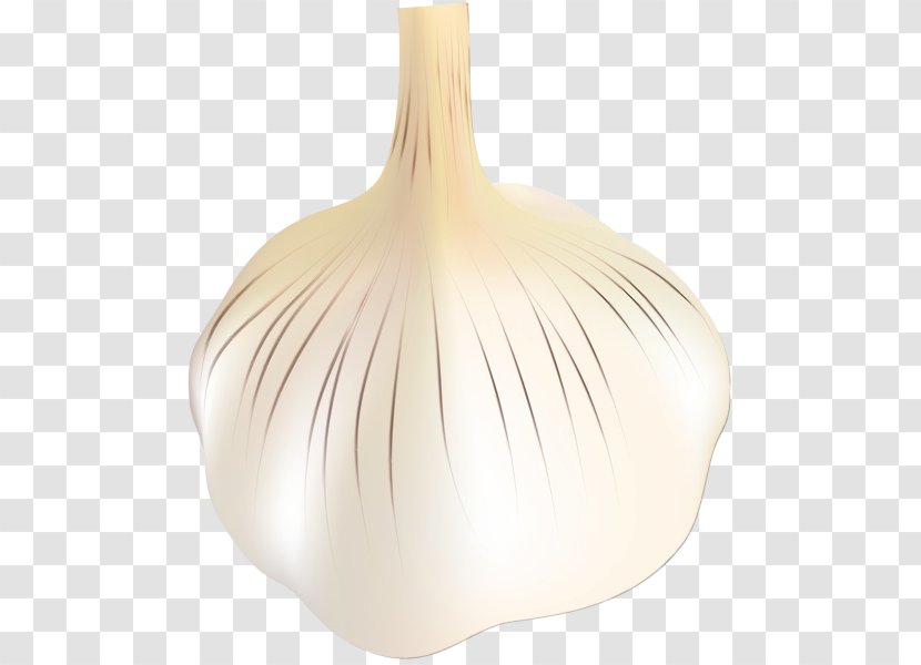 Garlic Elephant Onion Vegetable Allium - Plant - Artifact Amaryllis Family Transparent PNG