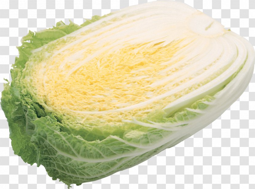 Napa Cabbage Vegetable Food Roll Wrap - Ingredient - Salad Image Transparent PNG