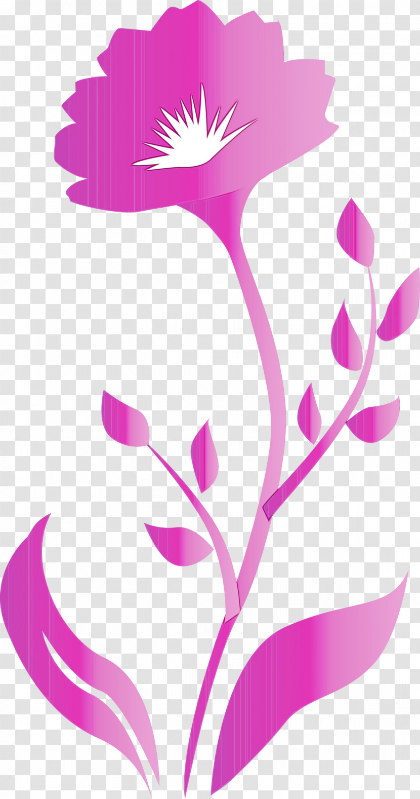 Pink Pedicel Plant Flower Magenta Transparent PNG
