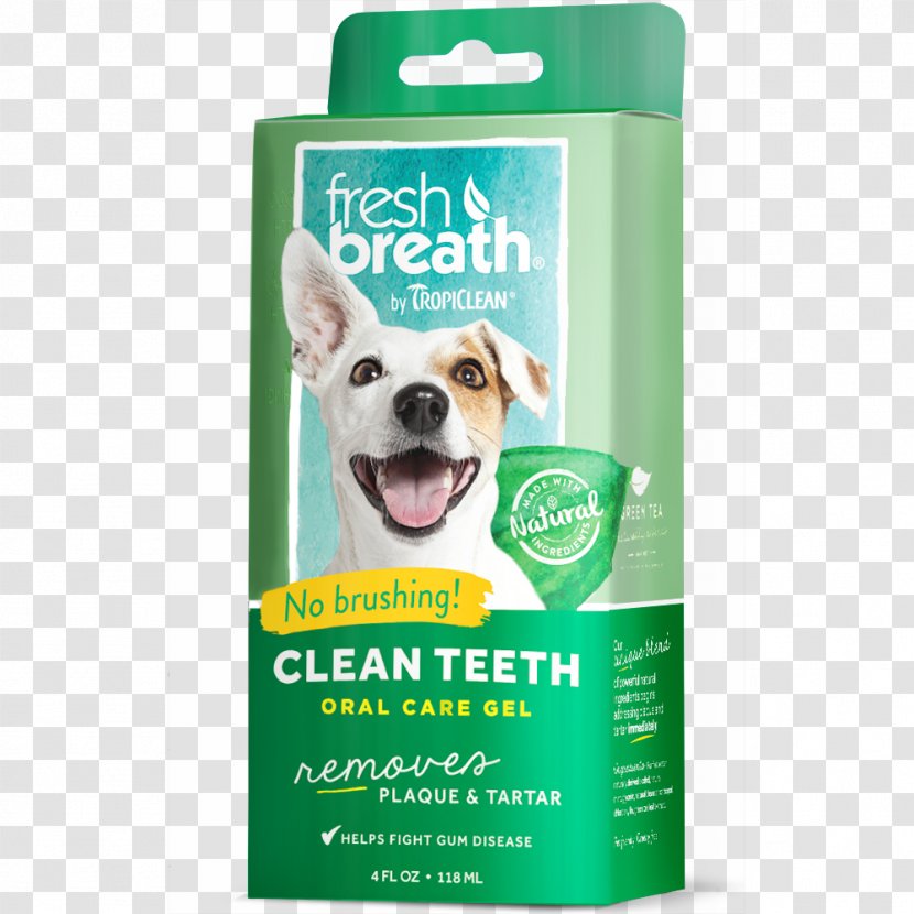 Teeth Cleaning Dental Calculus Tooth Brushing Mouthwash Gel - Canine Transparent PNG