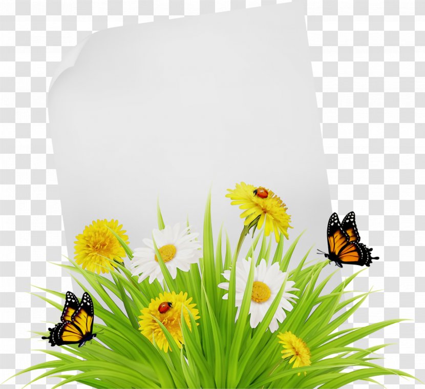 Summer Flower Background - Royaltyfree - Membranewinged Insect Invertebrate Transparent PNG