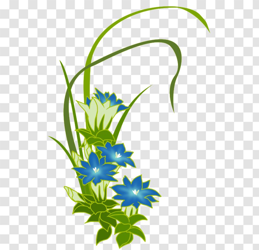 Gentiana Acaulis Flower Desktop Wallpaper Clip Art - Floral Design - Bekary Transparent PNG