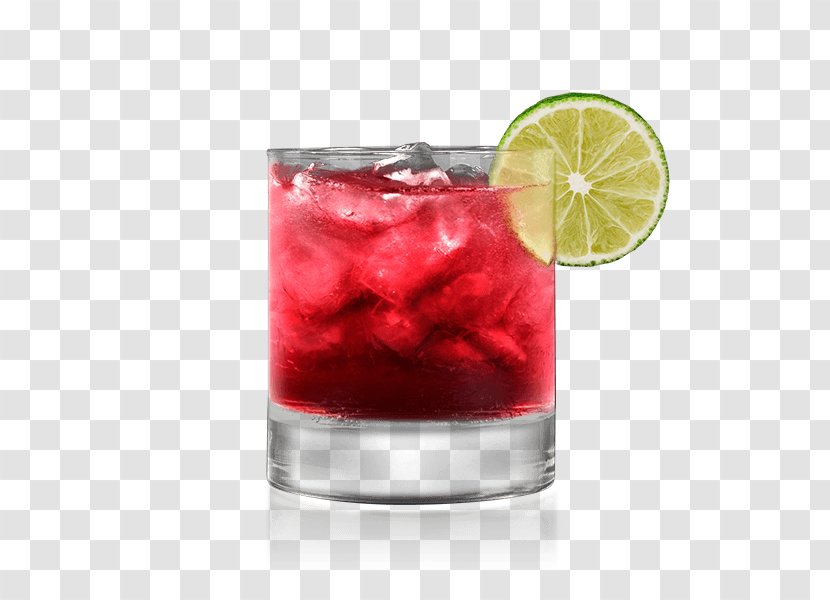 Cocktail Garnish Woo Tinto De Verano Sea Breeze - Rickey - Cranberry Transparent PNG