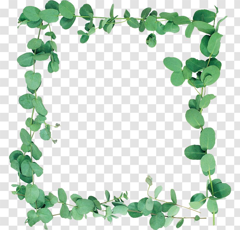 Green Leaf Background - Symbol - Ivy Heart Transparent PNG