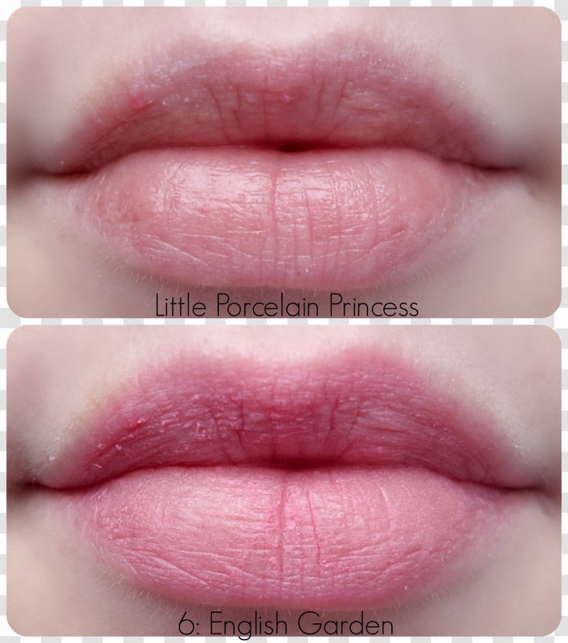 Lip Gloss Lipstick Tony Moly Petite Bunny Bar Color - Mouth Transparent PNG