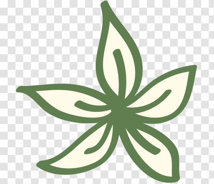 Clip Art Leaf Plant Stem Flowering - Flower - Hemp Family Transparent PNG