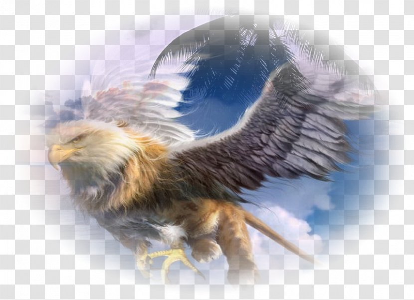 Griffin Legendary Creature Mythology Dragon Eagle - Lernaean Hydra Transparent PNG