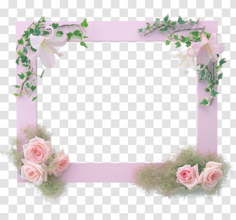 Picture Frames Photography Paper - Artificial Flower - PHOTO FRAMES Transparent PNG