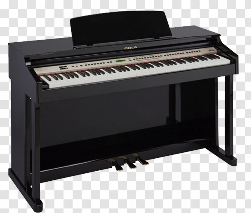 Digital Piano Upright Yamaha Corporation Keyboard - Tree Transparent PNG