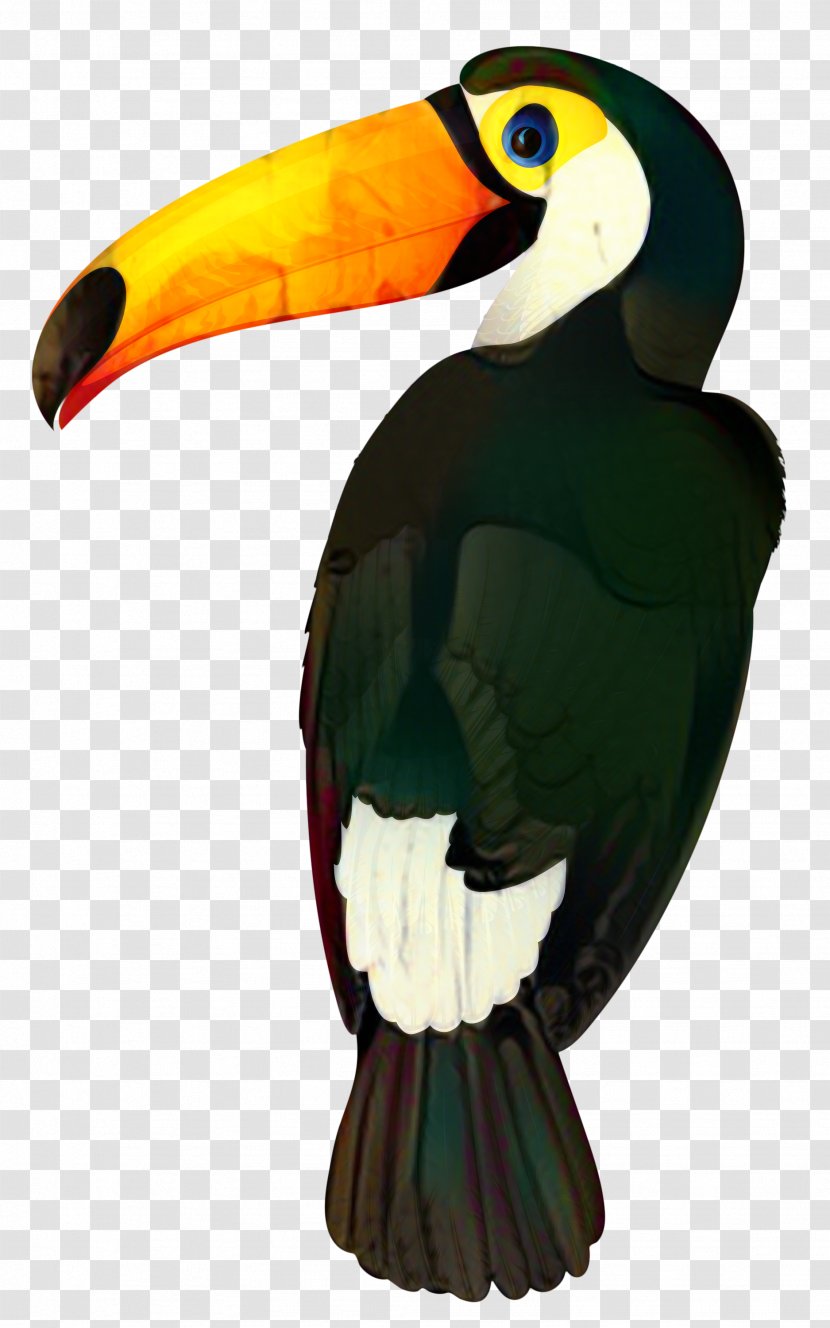 SILVERA TRAVEL EIRL Empresa Tourism Hospitality Industry - Hornbill - Lima Province Transparent PNG