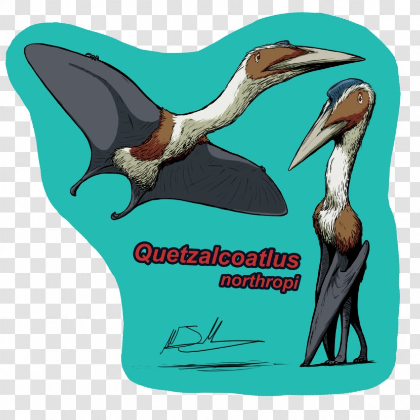 Dinosaur Cartoon - Quetzalcoatlus - Gannet Wildlife Transparent PNG