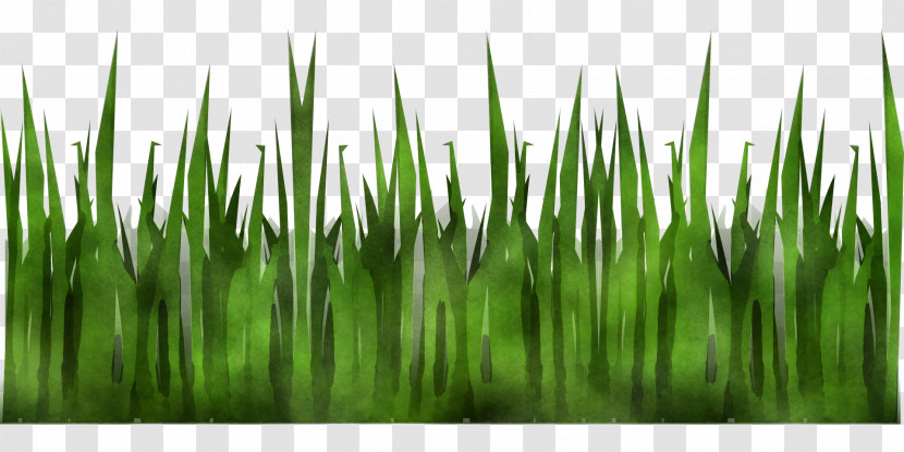 Colorgardenカラーガーデン Close-up March Computer Wheatgrass Transparent PNG