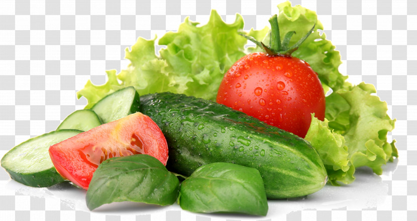 Salad Transparent PNG