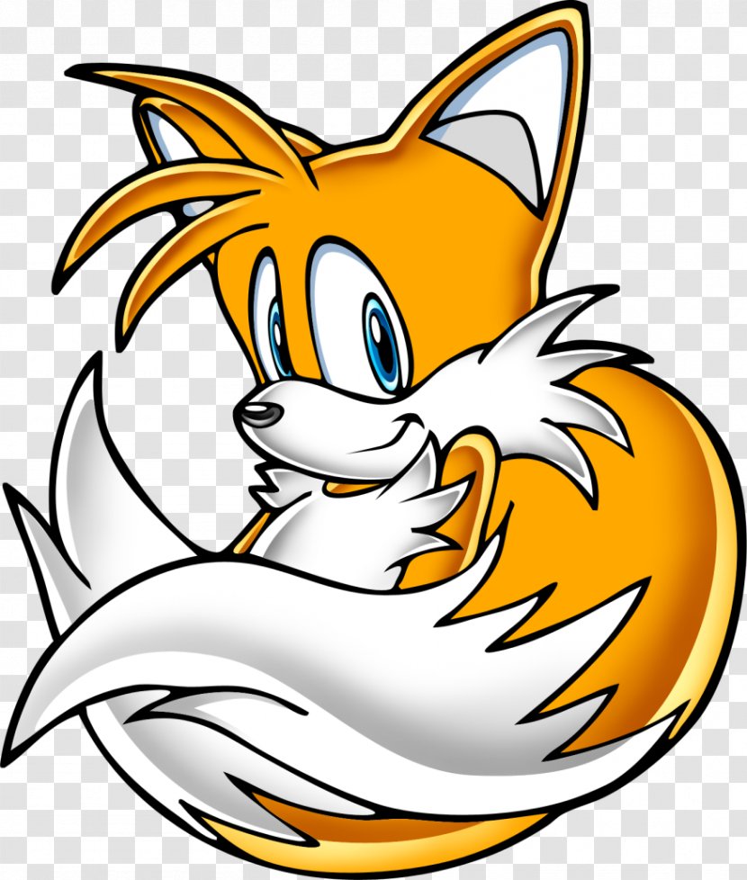 Tails Knuckles The Echidna Amy Rose Sonic Adventure Ariciul - Dog Like Mammal Transparent PNG