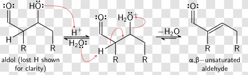 Aldol Reaction Condensation Acid Catalysis - Dehydration Transparent PNG