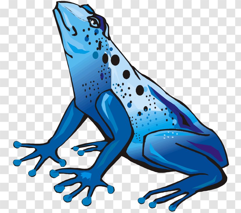 Blue Poison Dart Frog Golden Green And Black Clip Art - Dyeing Transparent PNG