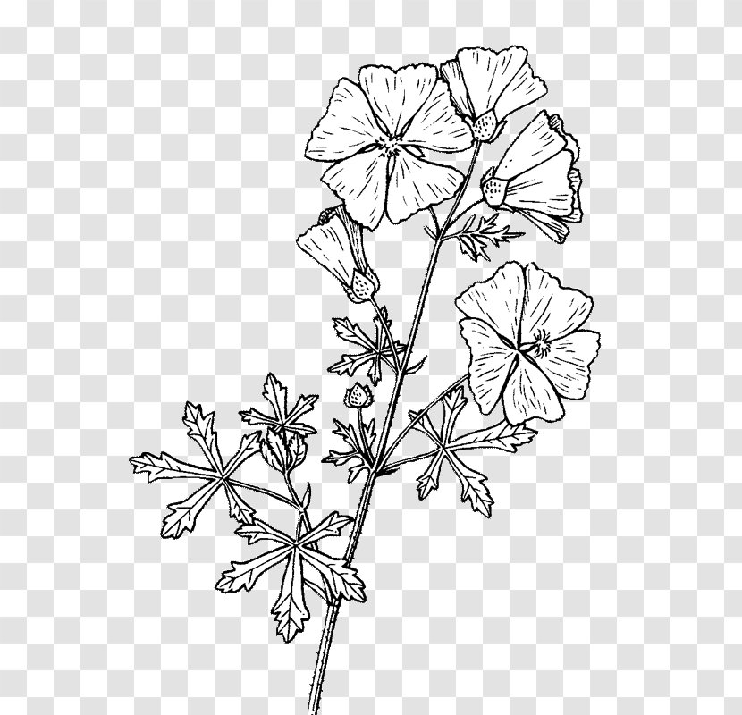Twig Floral Design Cut Flowers Plant Stem - Wawes Transparent PNG