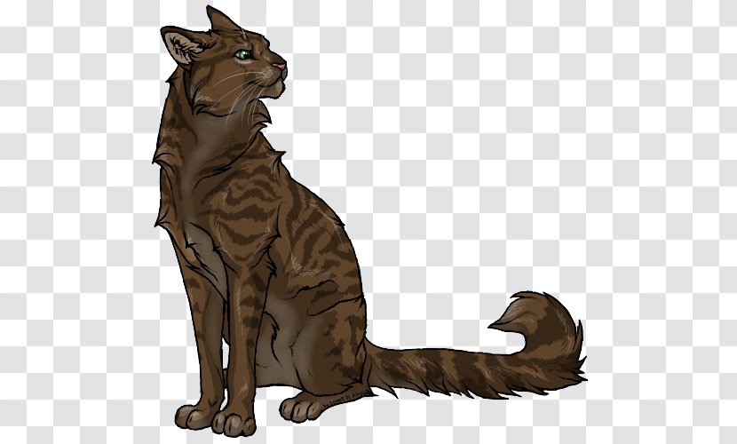 Whiskers Wildcat Tiger Dog - Carnivoran - Cat Transparent PNG