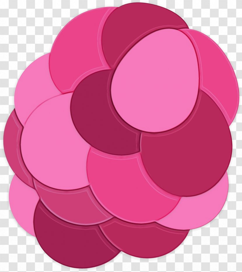 Pink Magenta Circle Purple Petal - Plant Transparent PNG