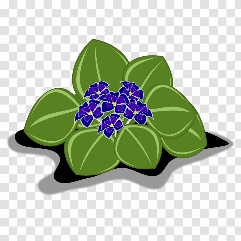 African Violets Clip Art - Plant - Violet Clipart Transparent PNG