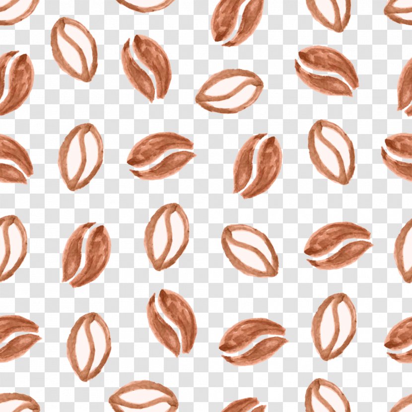 Coffee Bean Cafe - Hand-painted Beans Transparent PNG
