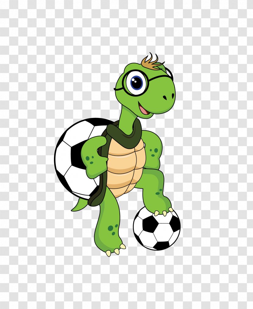 Turtle Cartoon - Sports - Toy Tortoise Transparent PNG