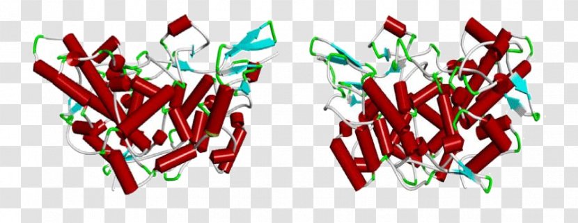 Cyclooxygenase Nonsteroidal Anti-inflammatory Drug Salicin Proteomics COX-2 Inhibitor - Antiinflammatory Transparent PNG