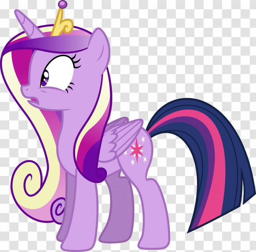 Pony Twilight Sparkle Princess Cadance Pinkie Pie Rainbow Dash - Frame - My Little Transparent PNG